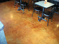 acid stain gandolpho's